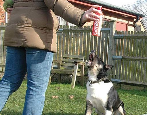 5 Best Dog Repellent Sprays to Correct Bad Behavior 5 Best Dog Repellent Spray to Correct Bad Behavior featured image