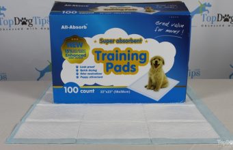 Review: All Absorb Puppy Pee Pads All Absorb Puppy Pee Pad Review