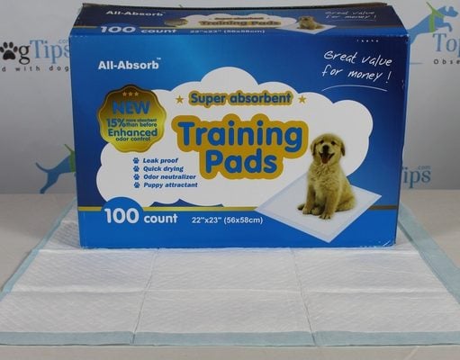 Review: All Absorb Puppy Pee Pads All Absorb Puppy Pee Pad Review