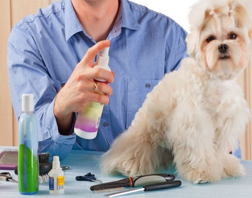 The Best Dog Colognes and Deodorants How to use the best dog cologne and deodorant for dogs?