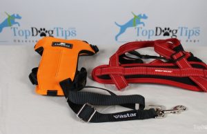 Best Seat Belt for Dogs: Comparing EzyDog vs. Sleepypod vs. Vastar Best Seat Belt for Dogs Comparison