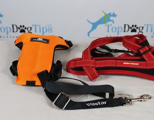 Best Seat Belt for Dogs: Comparing EzyDog vs. Sleepypod vs. Vastar Best Seat Belt for Dogs Comparison