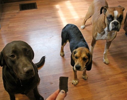 Recipe: Carob Crunchies Dog Treats (Wheat and Gluten Free) Carob Crunchies Homemade Dog Treats Recipe