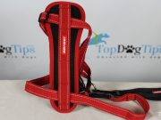 Review: EzyDog Chest Plate Dog Harness EzyDog Chest Plate Harness
