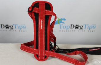 Review: EzyDog Chest Plate Dog Harness EzyDog Chest Plate Harness