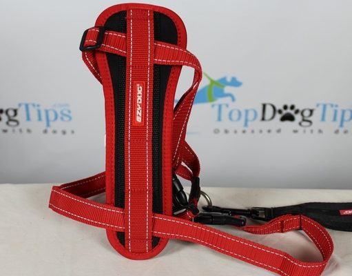 Review: EzyDog Chest Plate Dog Harness EzyDog Chest Plate Harness