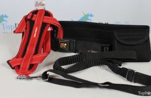 Giveaway: MIU PET Hands Free Walking System and EzyDog Harness ($47 Value) MIU PET EzyDog Giveaway