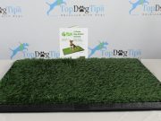 Review: PETMAKER PAW Puppy Potty Trainer PETMAKER Puppy Potty Trainer Review