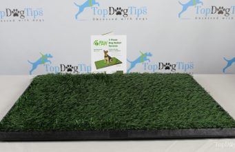Review: PETMAKER PAW Puppy Potty Trainer PETMAKER Puppy Potty Trainer Review