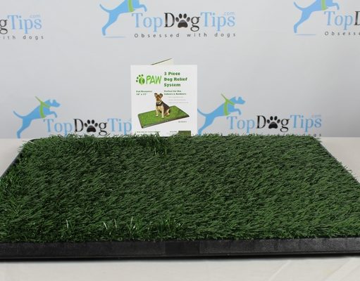 Review: PETMAKER PAW Puppy Potty Trainer PETMAKER Puppy Potty Trainer Review
