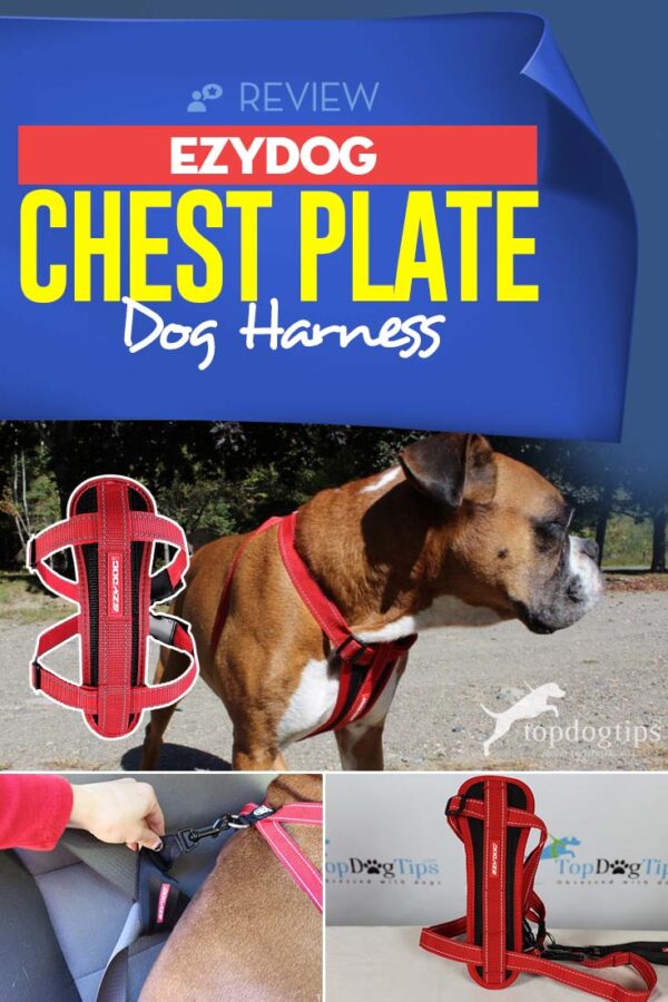 EzyDog Chest Plate Dog Harness Review Let