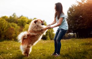 14 Tips on How to Become the Best Pet Parent to Your Dog Become the Best Pet Parent For Your Dog