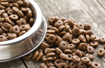 Top 10 Best Dog Food Brands in the UK as Rated and Chosen by Pet Owners Best Dog Food in UK