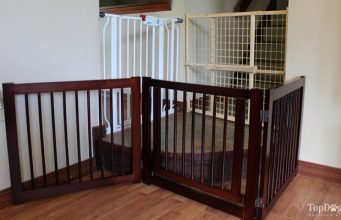 Best Dog Gates: Comparing Primetime Petz vs. Carlson vs. Evenflo Best Dog Gates