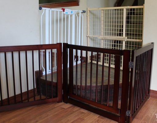 Best Dog Gates: Comparing Primetime Petz vs. Carlson vs. Evenflo Best Dog Gates