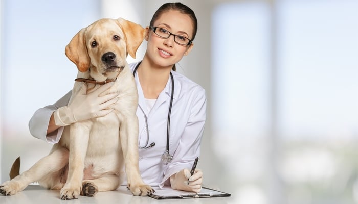 puppy nutritionist