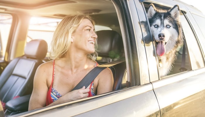 Pros and Cons of being a Digital Nomad with a Dog