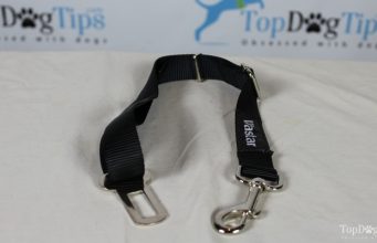 Review: Vastar Dog Seat Belt for Pet’s Safety in Cars Vastar Dog Seat Belt Review