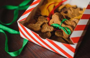24 Best Christmas Dinner Recipes for Dogs Best Christmas Dinner Recipes for Dogs