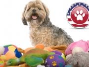 5 Best Dog Toys Made in America Best Dog Toys Made in USA