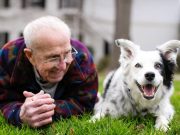 This Dog Learned Over 1,000 Words and Here’s How Chaser Border Collie