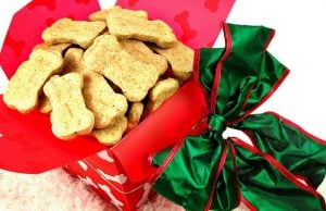 Homemade Christmas Dog Treat Recipe with Pumpkin Seeds & Cranberries Christmas Dog Treat Recipe