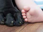 21 Helpful Resources for Dog Owners with Kids Essential Resources for Dog Owners with Kids