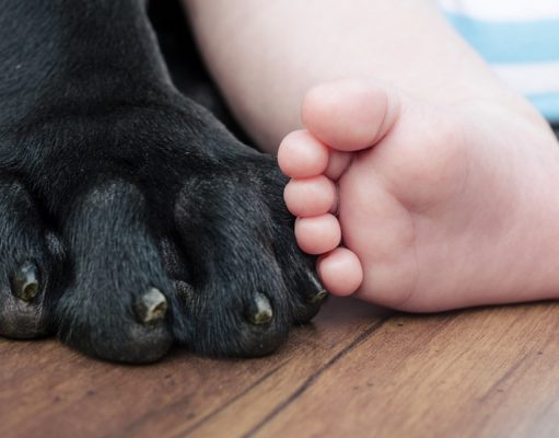 21 Helpful Resources for Dog Owners with Kids Essential Resources for Dog Owners with Kids