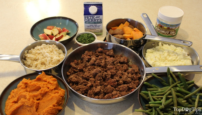 Picture of Homemade Dog Food for Kidney Disease Recipe Video (Quick, Simple)