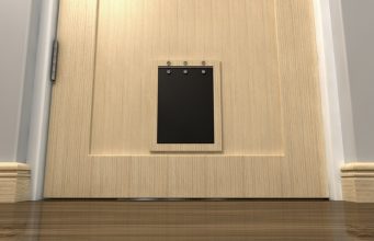 How to Install Dog Doors at Home: A Step by Step Checklist How To Install Dog Doors At Home