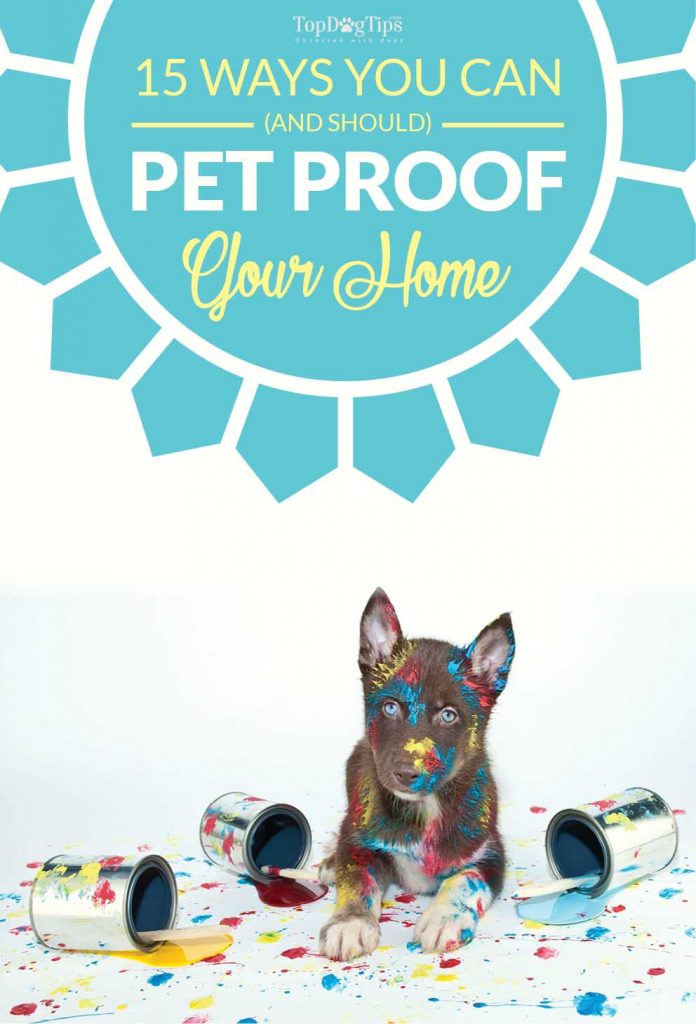 Curated visual reference: Dog Proofing Drywall In Homes With Large Pets Reference: 15 Tips On Pet Proofing Your Home In Preparation For