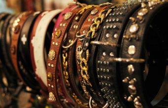 Top 5 Best Leather Dog Collars for Big Dogs best leather dog collars for big dogs