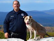 Abused and Abandoned, Kiah Becomes New York’s First Pit Bull Police Dog Abused and Abandoned Pit Bull Becomes New York’s First Police Dog