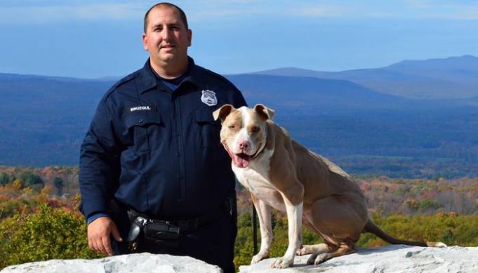 Abused And Abandoned Kiah Becomes New York s First Pit Bull Police Dog 