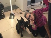 Carrie Fisher’s Service Dog Adopted by Daughter Carrie Fisher’s Service Dog Adopted by Daughter