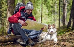 13 Essential Items for Hiking With Dogs Dog Hiking Gear Guide