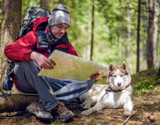 13 Essential Items for Hiking With Dogs Dog Hiking Gear Guide