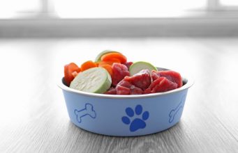 Easy Raw Dog Food Recipe with Ground Beef and Chicken Liver Easy Raw Dog Food Recipe