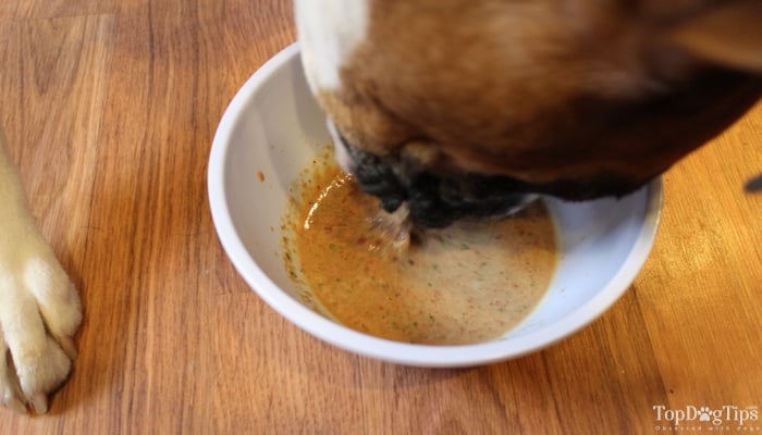 Easy Raw Dog Food Recipe