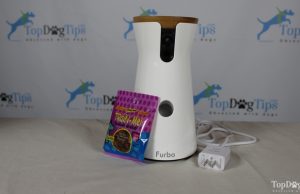 Review: Furbo Automatic Treat Dispensing Dog Camera Furbo Automatic Treat Dispensing Dog Camera