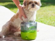 Introducing EasyPaw, the World’s First Automatic Paw Washer Introducing EasyPaw, the World’s First Automatic Paw Washer