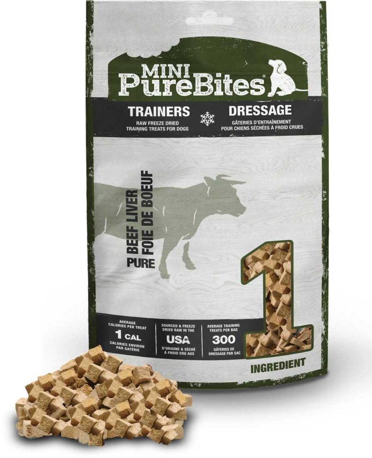 Dog Treats Which Ones and Why? [Updated 2023]