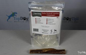 Review: Bully Stick Chews for Dogs From Raw Paws Pet Food Raw Paws Pet Food Bully Sticks Review
