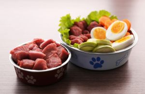 8 Reasons to Feed Your Dog Raw Food Diet Reasons to Feed Your Dog Raw Food Diet featured image