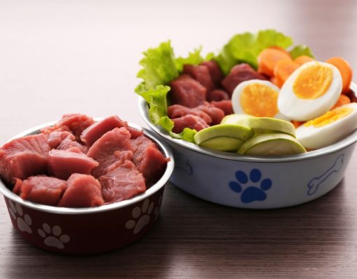 8 Reasons to Feed Your Dog Raw Food Diet Reasons to Feed Your Dog Raw Food Diet featured image