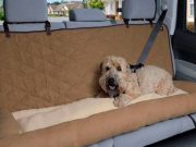 Review: Happy Ride Car Dog Bed Solvit Car Cuddler Review