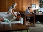 ZenCrate: The Smart Crate for Anxious Dogs ZenCrate The Smart Crate for Anxious Dogs