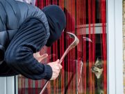 How to Train a Dog to Be an Apartment Guard Dog apartment guard dog