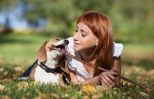 15 Mistakes Even the Best Dog Owners Can Make mistakes dog owners make