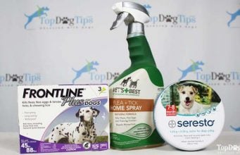 3 Best Flea and Tick Treatments for Dogs Compared: Frontline vs. Seresto vs. Vet’s Best Best Flea and Tick Treatment for Dogs Review